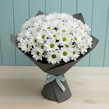 Букет цветов из:  Хризантемы в Калачинске